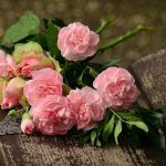 ¿Por qué llevamos flores a los difuntos?