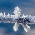 El clima y la muerte