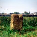 elementos ecologicos para un funeral
